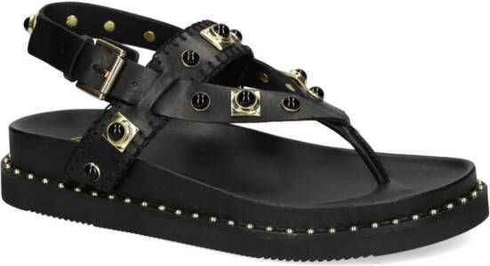 Ash Uteca sandalen verfraaid met studs Zwart