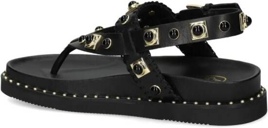 Ash Uteca sandalen verfraaid met studs Zwart