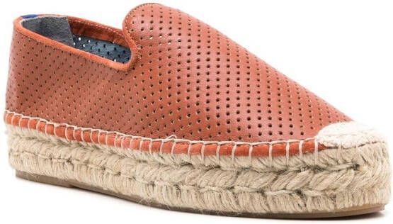 Blue Bird Shoes Geperforeerde espadrilles Bruin