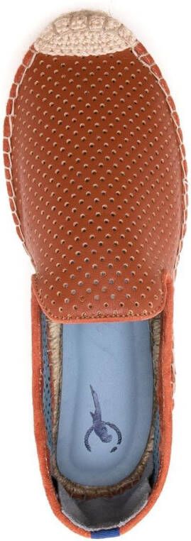 Blue Bird Shoes Geperforeerde espadrilles Bruin