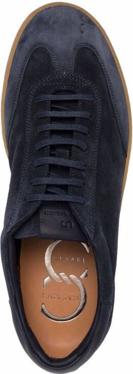 Casadei Suède sneakers Blauw