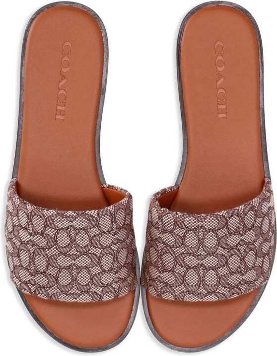 Coach Badslippers met logo-jacquard Bruin