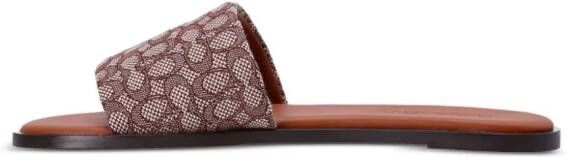 Coach Badslippers met logo-jacquard Bruin