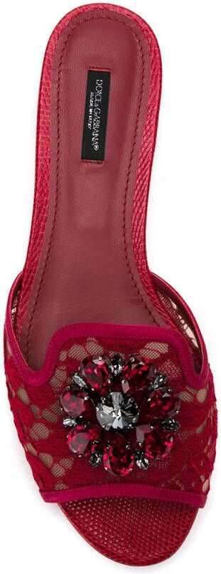 Dolce & Gabbana Bianca crystal-embellished lace sandals Rood