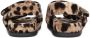 Dolce & Gabbana Kids Badstof sandalen met luipaardprint Bruin - Thumbnail 3