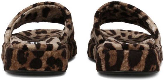 Dolce & Gabbana Slippers met luipaardprint Bruin