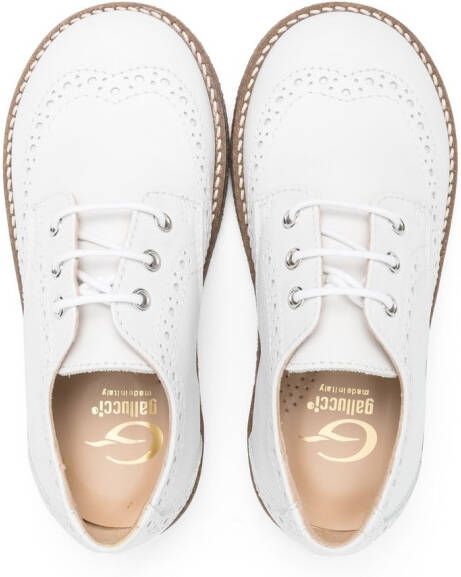 Gallucci Kids Leren brogues Wit