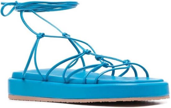 Gianvito Rossi Sandalen met bandjes Blauw