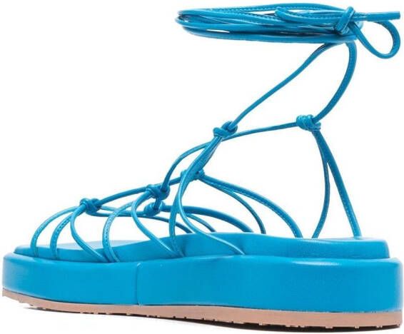 Gianvito Rossi Sandalen met bandjes Blauw