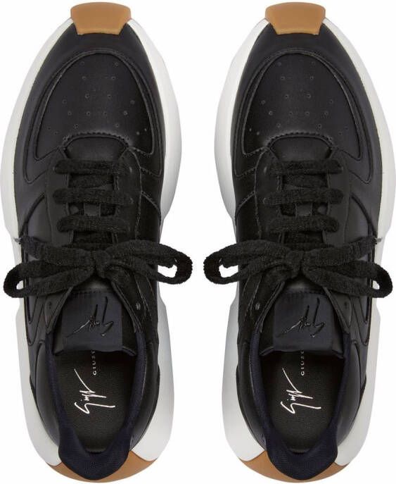 Giuseppe Zanotti Ferox sneakers met kant Zwart