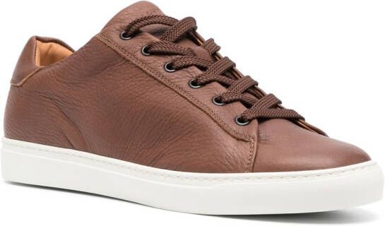 Harrys of London Low-top sneakers Bruin