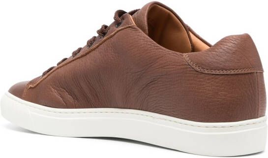 Harrys of London Low-top sneakers Bruin