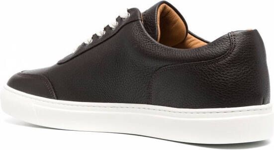 Harrys of London Low-top sneakers Bruin