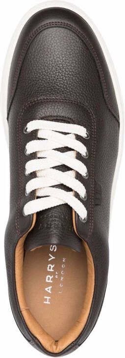 Harrys of London Low-top sneakers Bruin