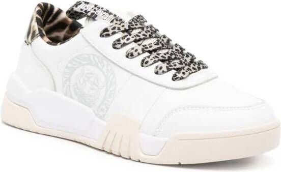 Just Cavalli Tiger Head low-top sneakers Wit