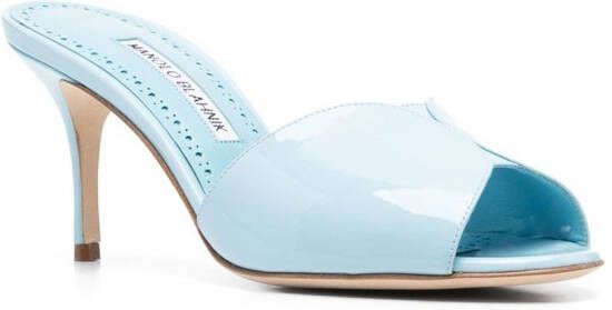 Manolo Blahnik Leren muiltjes Blauw