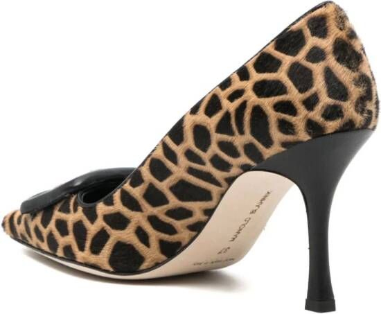 Manolo Blahnik Maysalepumps met luipaardprint Zwart