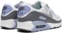 Nike "Air Max 90 Cobalt Bliss sneakers" Grijs - Thumbnail 15