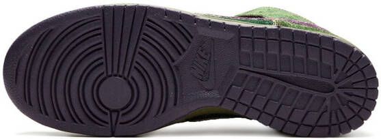 Nike Dunk High LR Premium sneakers Groen