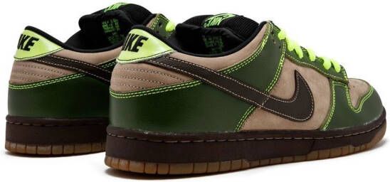 Nike Dunk Low Pro SB sneakers Groen