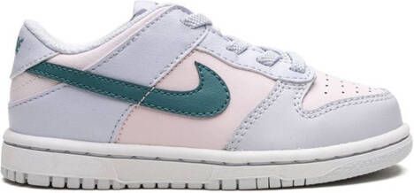 Nike Kids "Dunk Low Mineral Teal sneakers" Grijs