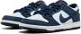 Nike SB Zoom Dunk Pro sneakers Blauw - Thumbnail 1