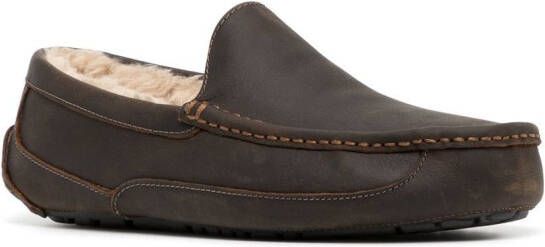 UGG Ascot slippers Bruin