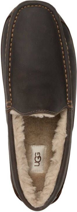 UGG Ascot slippers Bruin