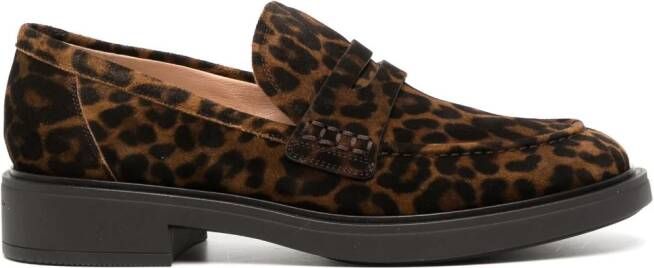 Gianvito Rossi Loafers met luipaardprint Bruin