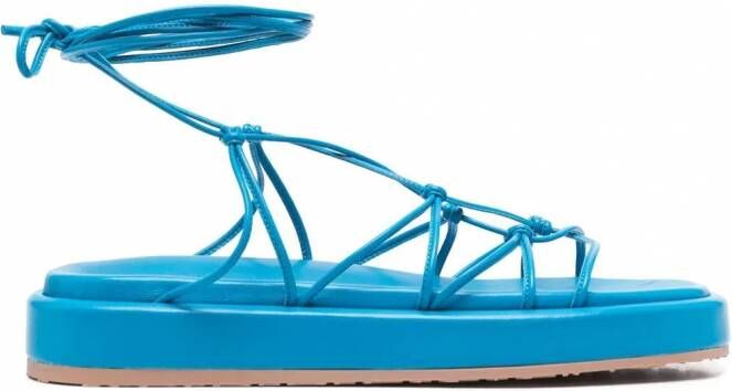 Gianvito Rossi Sandalen met bandjes Blauw