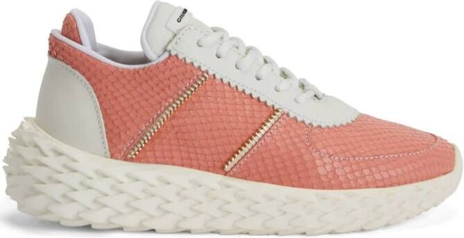 Giuseppe Zanotti Urchin sneakers met pythonprint Oranje