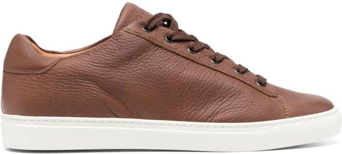 Harrys of London Low-top sneakers Bruin