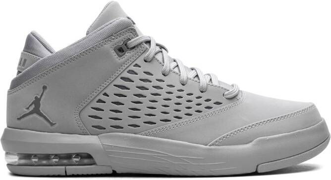 Jordan Flight Origin 4 sneakers Grijs