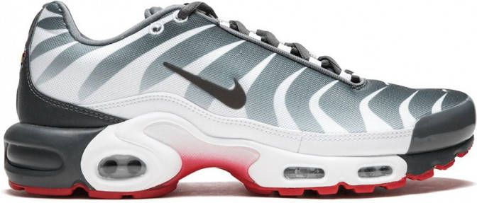 Nike Air Max Plus sneakers Grijs