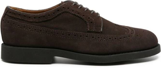 Sebago Canton suède brogues Bruin