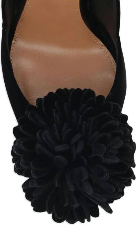 Aquazzura Pumps & high heels Pumps Black in zwart