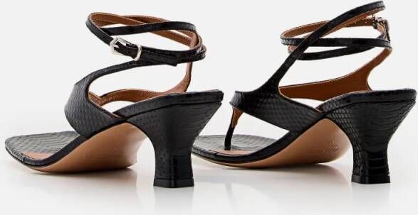 Paris Texas Sandalen 55mm Portofino Lace Up Sandal in zwart