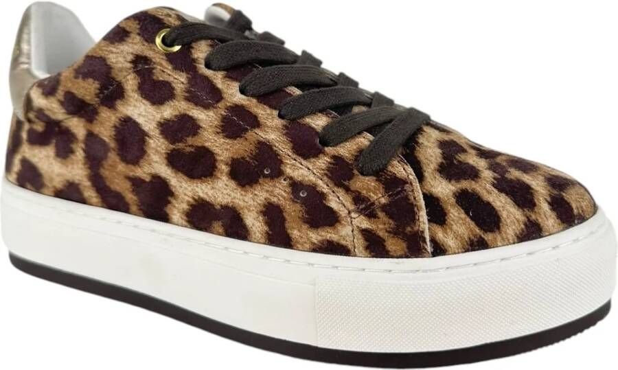 Kurt Geiger London Low-Top Sneakers Dames Sneakers in bruin