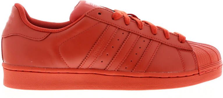 Adidas Gazelle Heren Schoenen