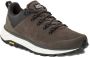 Jack Wolfskin Terraventure Urban Low Men Outdoor schoenen Heren cold coffee - Thumbnail 4