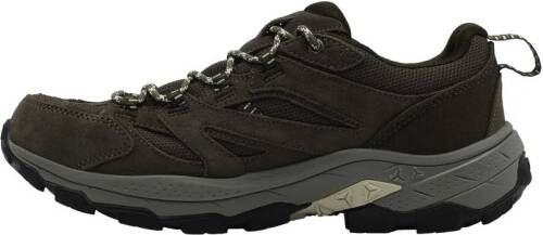 Jack Wolfskin Vojo Tour Texapore Low Men Waterdichte wandelschoenen Heren cold coffee