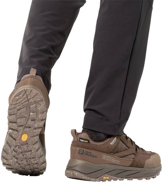 Jack Wolfskin Terraquest Texapore Low Men Waterdichte wandelschoenen Heren bear