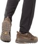 Jack Wolfskin Terraquest Texapore Low Men Waterdichte wandelschoenen Heren bear - Thumbnail 8