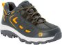 Jack Wolfskin Vojo Texapore Low Kids Waterdichte wandelschoenen Kinderen slate green - Thumbnail 2