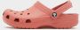 Crocs Classic Clog Pink- Pink - Thumbnail 3