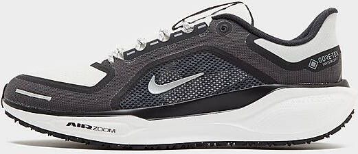 Nike Pegasus 41 GORE-TEX Grey- Heren Grey