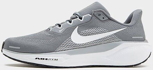 Nike Pegasus 41 Grey- Heren Grey