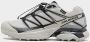 Salomon XT-Pathway GTX flint gray flint gray black in beige formaten: 44.666 - Thumbnail 1