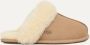 Ugg Scuffette II-pantoffel voor dames in Beige - Thumbnail 2