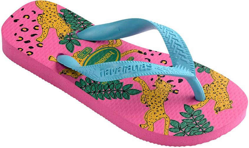 Havaianas Slippers